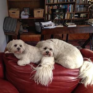 Meet your Posher, Elizabeth